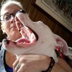 Meet your Posher, Beverly